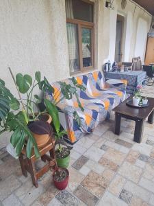 Guest House Goshtela