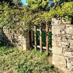 Maisons de vacances Gite Mon lit au pre Perigord : photos des chambres