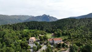 B&B / Chambres d'hotes Les Hauts de Cavanello : photos des chambres