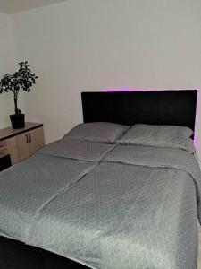 Apartament na 4 piętrze