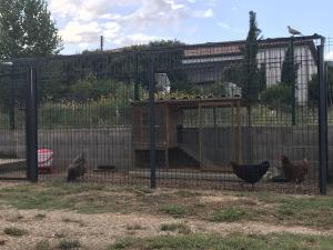 Appartements Studio aux portes des Cevennes avec piscine : photos des chambres