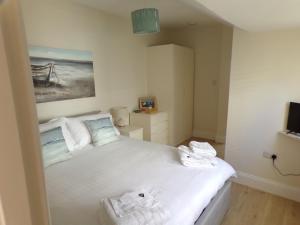 3TheDome - Luxury Ground Floor Apartment opposite the Beach, Barton on Sea