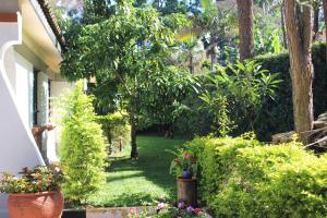 Windy Ridge Karen View Palace Apartment