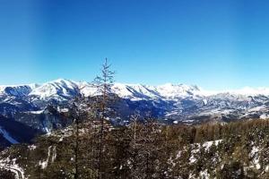 Appartements Studio au coeur de Valberg a proximite des pistes : photos des chambres