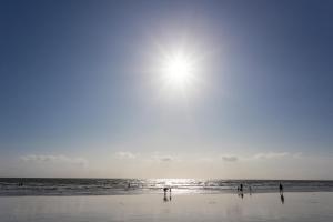 Campings Huttopia Oleron Les Chenes Verts : photos des chambres