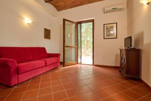 Antichi Palmenti - Erica