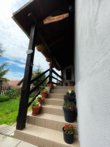 Casa de oaspeți Cristina