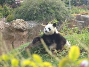 Domaine du Mont des Chênes