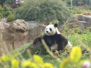 奥克斯山度假屋 - 谢尔河畔塞勒