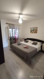 Apartman Terazza