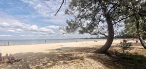 Appartements Reve de Bisca Appartement spacieux avec jardin privatif piscine et parking prives : photos des chambres