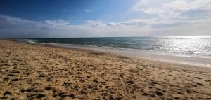 Appartements Reve de Bisca Appartement spacieux avec jardin privatif piscine et parking prives : photos des chambres