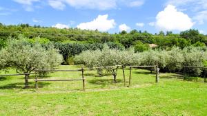 B&B / Chambres d'hotes La Bastide des Roses : photos des chambres