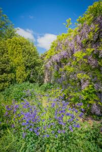 The Rose Barn, Ysgubor y Rhosyn