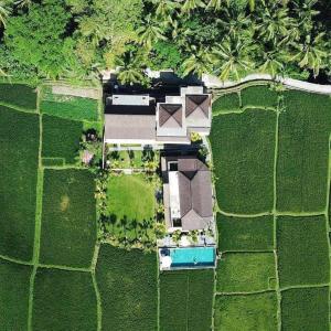 Intan Villa & Suite Ubud