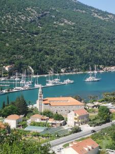 Apartment House of Artichoke with amazing sea view, Dubrovnik