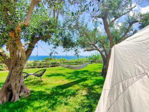 Tenda