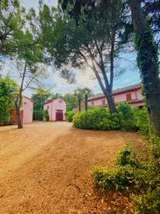 Casal Camillo - Corinaldo