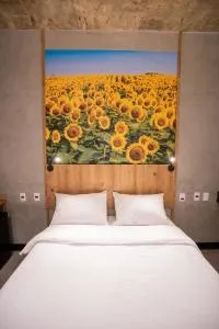 CAMPOS DE HOLAMBRA INN - 阿瓦雷