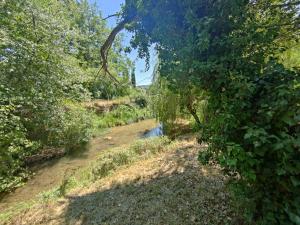 Maisons d'hotes La Belle Riviere : photos des chambres