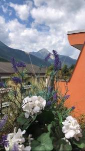 Casa Horvais San Candido