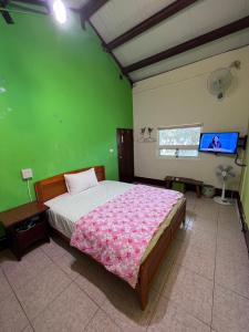 Color Rainbow Home