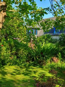 Maisons de vacances Maison en pierre dans son nid de verdure : photos des chambres