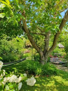 Maisons de vacances Maison en pierre dans son nid de verdure : photos des chambres