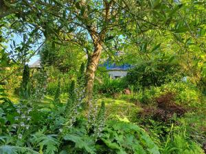 Maisons de vacances Maison en pierre dans son nid de verdure : Maison 4 Chambres