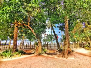 Besaga Beachfront B&B - Port Barton