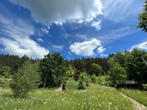 Căsuța din pădure