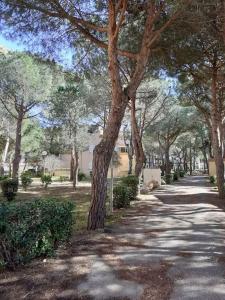 appartement rénové bord de mer Boramars