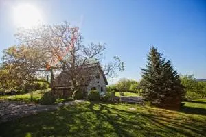 Dióliget - Diófácska Présház - Vértesboglár