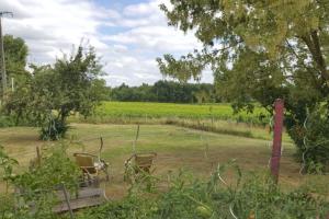 Maisons de vacances La Maison du Vignoble - Charme et Vue Panoramique : photos des chambres