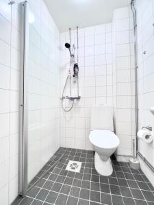 Beautiful Central Apartment Helsinki