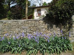Casa Vacanze Podere Ugolini