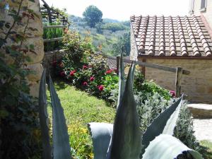 Casa Vacanze Podere Ugolini