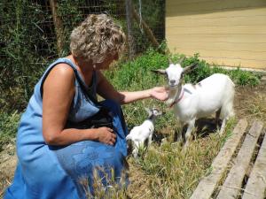 Casa Vacanze Podere Ugolini