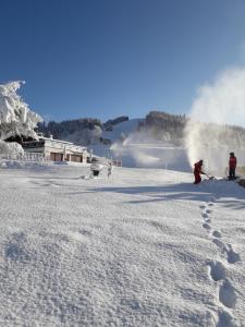 Chalets Chalet Le Wapiti, aux pieds des pistes, a 200m du village : photos des chambres