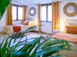 Hotels Le Ptit Dauphin : photos des chambres