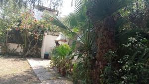 Apartamento - jardín en playa San Sebastian