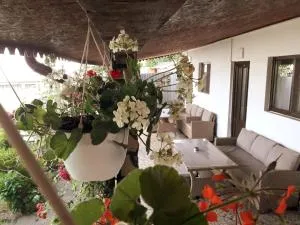 Casa Chitu - 杜纳厄图德乔斯