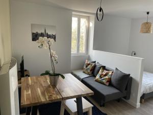 Appartements Nid Douillet : Appartement 1 Chambre