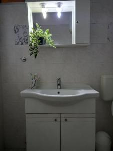 Paralia Apartments