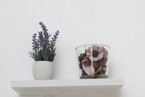 Sogno Allegro img11