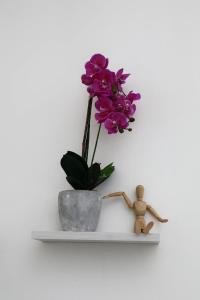 Sogno Allegro img15