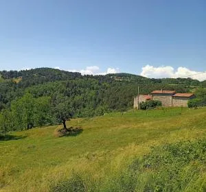 Ecrin de verdure en Ardèche verte - Le Crestet