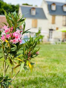 B&B / Chambres d'hotes The Ronsardienne Suite in a charming mansion at the gates of Tours : photos des chambres