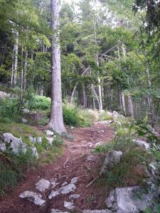 Albergo Ristorante K2