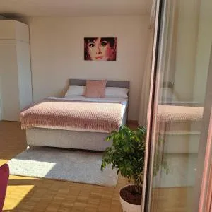 Sonniges 1-Zimmerappartement mit Blick über Kreuzlingen - 克罗伊茨林根